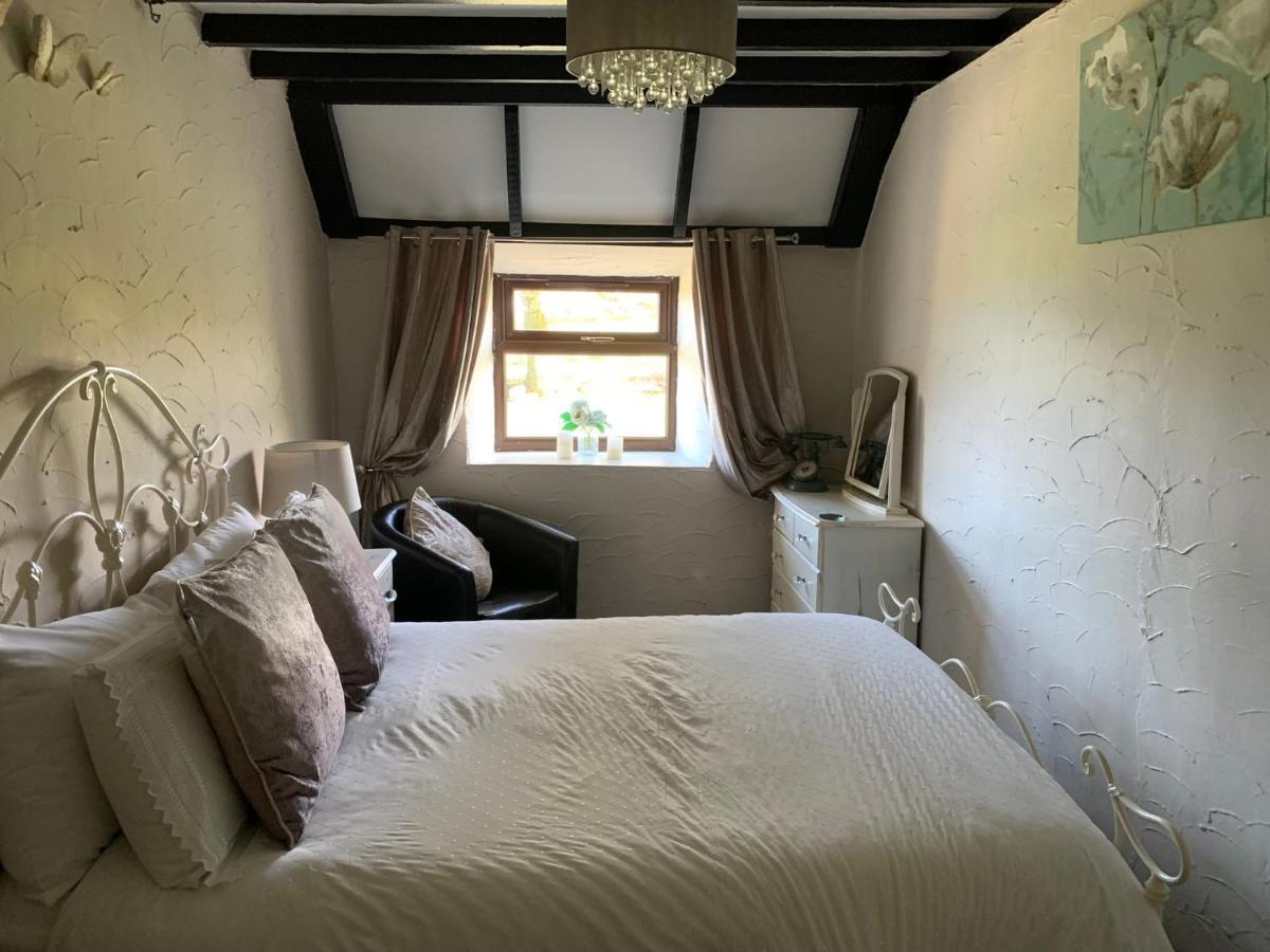 Byre Cottages & Log Cabin Cardigan Eksteriør billede
